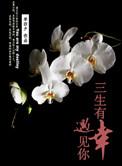 三生有幸遇见你40集免费高清