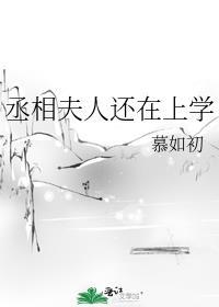 丞相夫人在上学全文免费阅读无删减