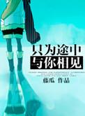 只为途中与你相见by藤瓜免费