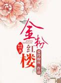 红粉金梦全四册