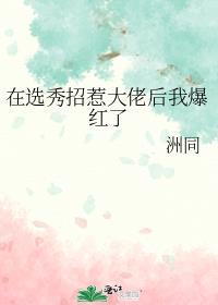 在选秀招惹大佬后我爆红了讲什么