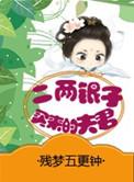 二两银子买来的夫君全文