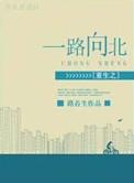 重生之一路向北梦溪石