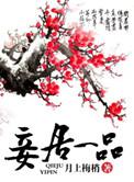 妾居一品资源