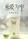 以爱为牢短剧合集
