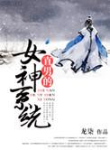 直男的女神系统H