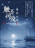 触不可及电视剧
