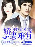 闪婚后 全文免费