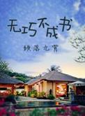 无巧不成书电影免费观看