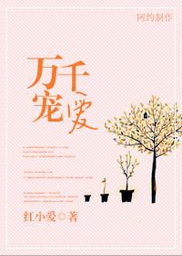 万千宠爱bl