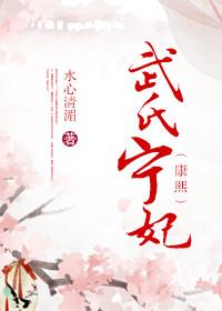 宁妃武氏是胤禛的潜邸旧人吗