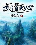 武道天心没了就废了