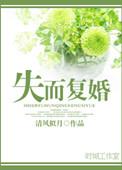 失而复得的婚姻电视剧全集免费观看