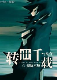 转世之旅百科