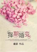 择期婚变讲的什么故事