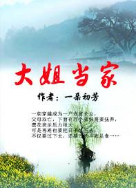 电视剧大姐当家