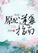 快穿原配的逆袭未删减版