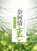 奈何情衷 沐声TXT