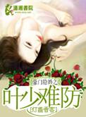 豪门契婚叶少甜宠小娇妻