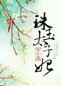 太子妃玉璃 父皇