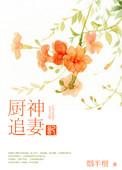 厨神笔趣阁