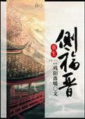 重生之侧福晋宋氏