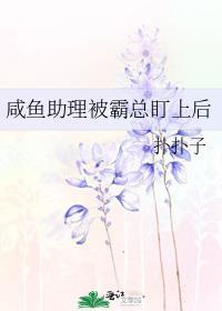 这个杀手不太冷的简介详细