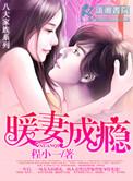 暖妻成瘾封烟烟燕南昇