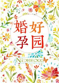 婚好孕圆免费阅读