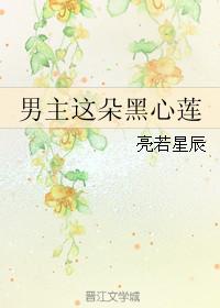 男主这朵黑心莲txt书包网