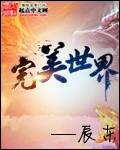 完美世界还在调整期