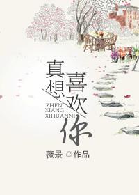我想我真的喜欢你歌词