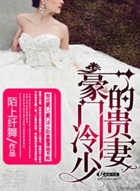 豪门冷少追逃妻洛汐灵