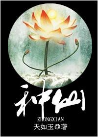 种仙观全集在线看
