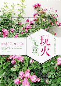 随意玩火