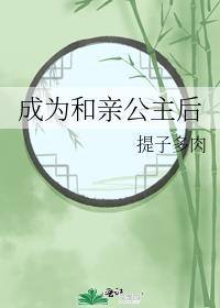 与我摘星辰讲什么