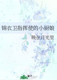 有羽倾舟未删减