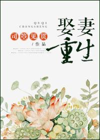 重生从娶妻开始的