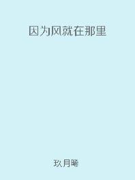 因为风就在那里百科