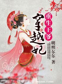 穿越王爷王妃系列