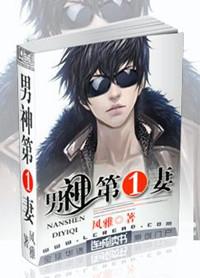 男神第一妻风雅TXT笔趣阁最新章