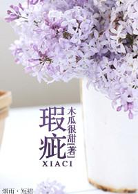 瑕疵小忿