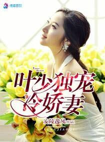 叶少独宠冷妻全文免费