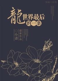 最后一条飞龙电影百度百科