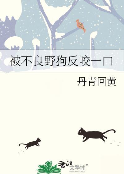 狗被野狗咬了