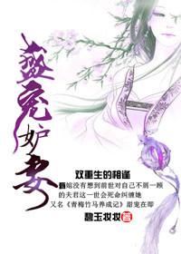 免费阅读盛宠妻宝全本