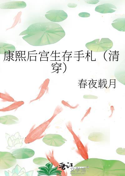 康熙后宫生存手札txt