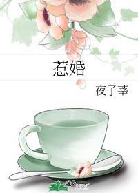 惹婚上身 笙歌未晚