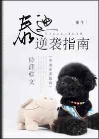 泰迪狗怎么训练29个基础动作