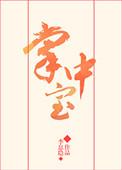 掌中宝是什么做的